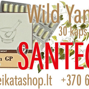 Wild Yam GP 30 kaps - maisto papildas SANTEGRA Klaipėda Alla Nekrasova nuotrauka 31