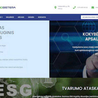 Padidinsime Jūsų svetainės matomumą paieškos sistemose. Vilnius UAB Procerus nuotrauka 8 SEO paslaugos Vilnius UAB Procerus nuotrauka 8