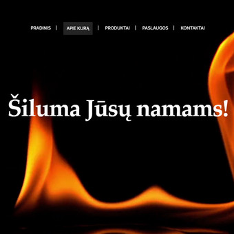 Internetinių svetainių priežiūra: vystymas, redagavimas, tobulinimas. Turinio valdymo sistemų diegimas. Turinio valdymo sistemų priežiūra, atnaujinimai. Įskiepių atnaujinimai. Hostingas. SEO. Kaunas Jonas nuotrauka 8 Interneto svetainių priežiūra Kaunas Jonas nuotrauka 8