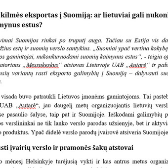 SEO straipsnių rašymas Šiauliai Jurgita Juknaitė-Kozlova nuotrauka 3