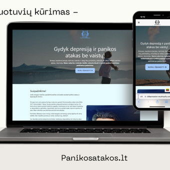 Svetainių kūrimas Vilnius Karolis Pieškus nuotrauka 3