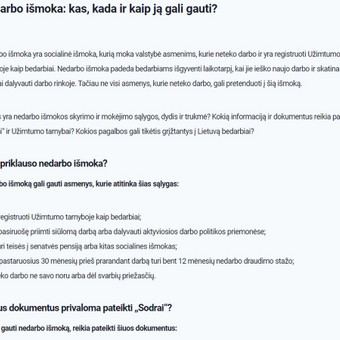 Tekstų interneto svetainėms kūrimas Klaipėda Tomas Petrauskis nuotrauka 3