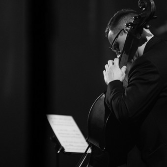 Privačios muzikos pamokos Vilnius Deividas Dumčius nuotrauka 1