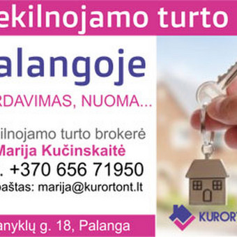 Reklamos internete kūrimas Palanga Regioninių portalų tinklas, MB nuotrauka 3