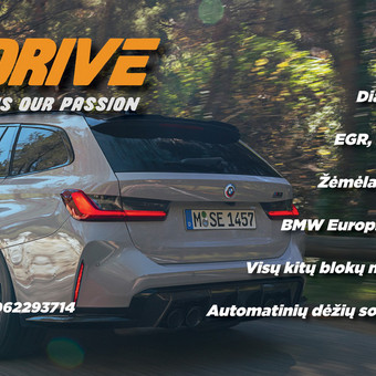 DPF ir FAP suodžių filtrų išjungimas Vilnius tempadrive nuotrauka 3