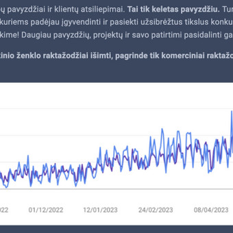 Vidinis SEO (vidinio SEO optimizacija) Vilnius Mantas Tamošaitis nuotrauka 8