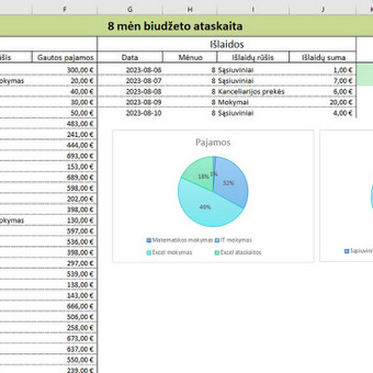 Duomenų analizė MS Excel programa Kaunas XLS darbai nuotrauka 4