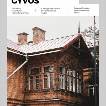Vilnius Sandra nuotrauka 14 Tekstų apie architektūrą redagavimas Vilnius Sandra nuotrauka 14