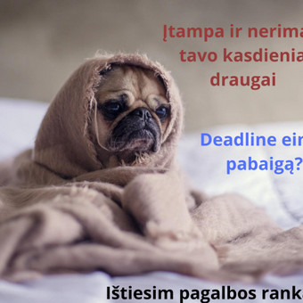 Namų darbai Kaunas UniWordsmith nuotrauka 8