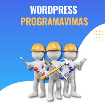 Programavimas su WordPress Vilnius Tiksaviems, UAB nuotrauka 6