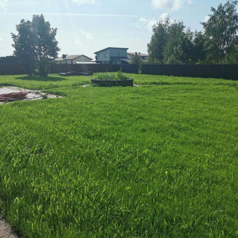 Žolės pjovimas Klaipėda Aplinkos priežiūra. nuotrauka 1