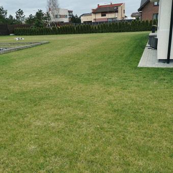 Vejos skarifikavimas. Klaipėda Aplinkos priežiūra. nuotrauka 7