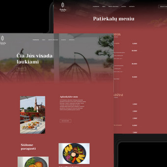 Programavimas su WordPress Klaipėda Egidijus Stalmokas nuotrauka 5