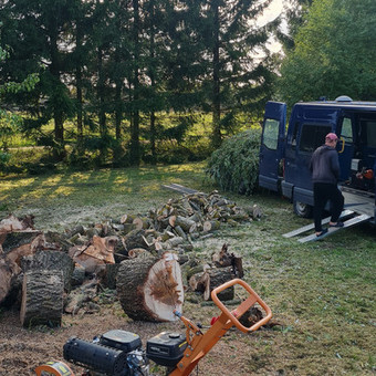 Šakų išvežimas Tauragės rajonas Šarūnas Gerulis nuotrauka 3