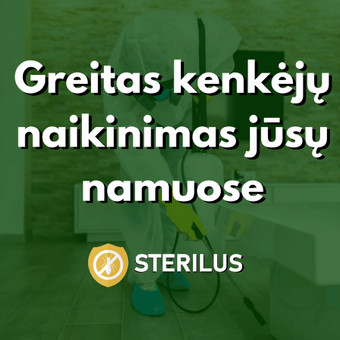 Tarakonų naikinimas Vilnius Sterilus nuotrauka 1