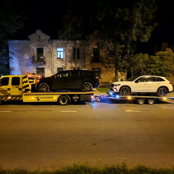 Dviejų-Trijų automobilių transportavimas Vilnius Tralas Go nuotrauka 13