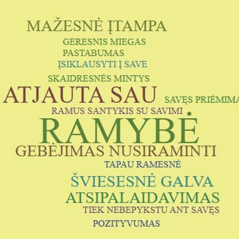 "Kaip atrasti vidinę ramybę ir stabilumą" (individualus 4 sesijų kursas) Vilnius Ieva Mačionytė nuotrauka 4