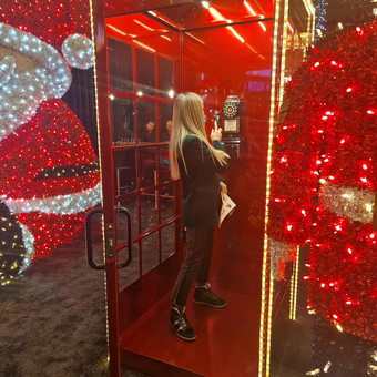 KALĖDINĖS TELEFONO BŪDELĖS NUOMA Vilnius JUNGLE FLORA nuotrauka 6