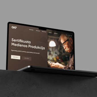 Svetainių dizainas (web design) Vilnius Samanta Petkutė nuotrauka 2