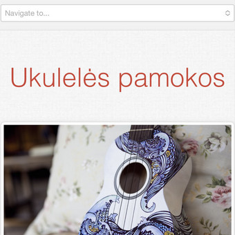 Ukulėlės pamokos Vilnius Aidas Lembutis nuotrauka 8