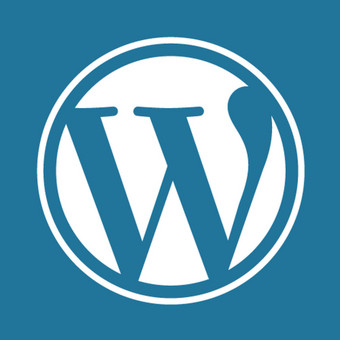 Wordpress mokymai Kaunas Tautvydas Zaurynas nuotrauka 37