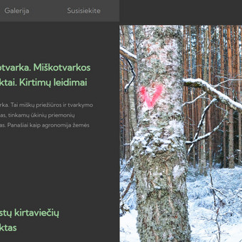 Bootstrap 5 svetainė. Naujausia versija Kaunas Jonas nuotrauka 10 Bootstrap, HTML Kaunas Jonas nuotrauka 10