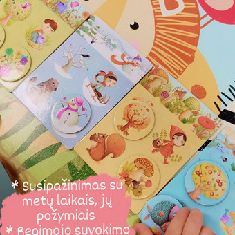 Specialiojo pedagogo paslaugos Šiauliai Deimantė Trinkienė nuotrauka 2