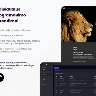 Individualių web ir it projektų sukūrimas ir priežiūra Kaunas Simonas Ramanauskas nuotrauka 6