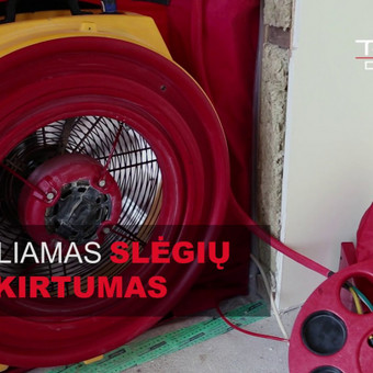 Sandarumo testai Šiauliai UAB TERMAS nuotrauka 3