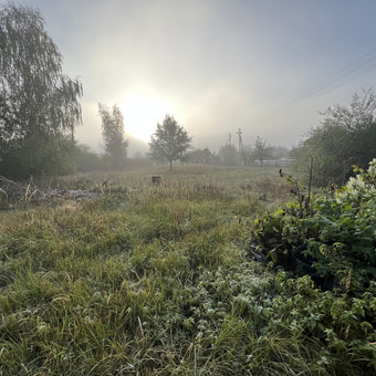 Apleistų sklypų tvarkymo paslaugos
Pavargote nuo apleisto sklypo vaizdo? Mes pasiruošę padėti!
✅ Šienaujame ir pašaliname krūmus
✅ Genime ir kertame medžius
✅ Surenkame bei išvežame šiukšles Marijampolė Griovimo darbai Lietuvoje nuotrauka 3 Sklypų tvarkymas,medžių,žolės,krūmų pjovimas Marijampolė Griovimo darbai Lietuvoje nuotrauka 3