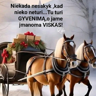 Palaikymo grupė priklausomiems asmenims Vilnius Ana Žalienė nuotrauka 5