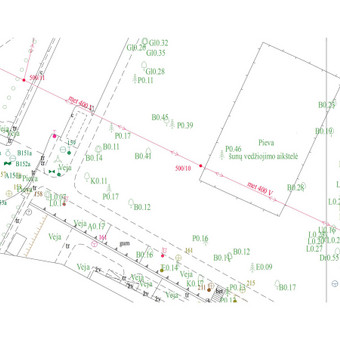 Medžio vietos nustatymas koordinuojant centrą. Nustatoma medžio rūšis ir diametras apie metro aukštyje nuo žemės paviršiaus. Vilnius Vilniaus topografija nuotrauka 21 Medžių taksacija Vilnius Vilniaus topografija nuotrauka 21