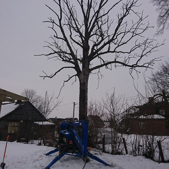 Paslauga