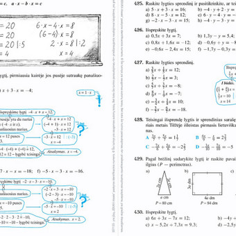 Papildomos matematikos pamokos Vilnius Virginijus Grigalis nuotrauka 2