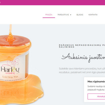 Įvairūs internetinio puslapio pataisymai Palanga EM Web projektai nuotrauka 9