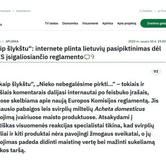 Straipsnių rašymas Kaunas Miglė Vasiliauskaitė nuotrauka 5