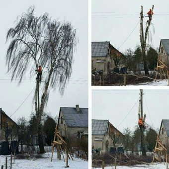 Paslauga