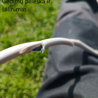Smulkūs elektros darbai Vilnius MB Tropnita nuotrauka 3