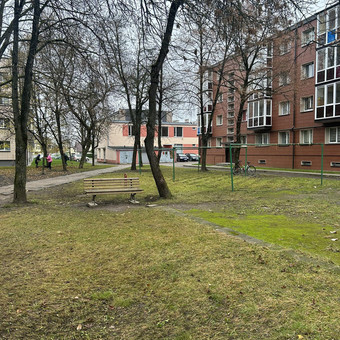 Teritorijos tvarkymas Vilnius ŠVAROS INVAZIJA nuotrauka 13