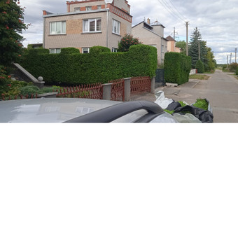Gyvatvorių karpymas Kaunas AugalųGanytojai/V. Paičius nuotrauka 3