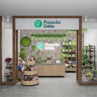 3D buto/namo iškėlimas Vilnius 3d Vizualizacijos nuotrauka 10