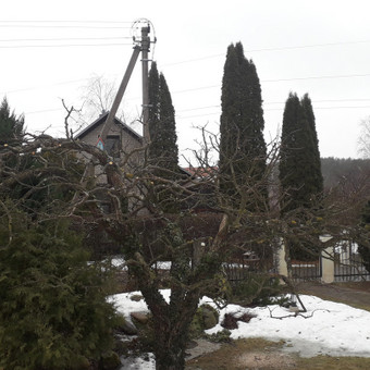 Paslauga
