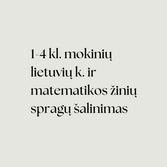 1-4 kl. mokinių lietuvių k. ir matematikos žinių spragų šalinimas Vilnius Sandra Mykolaitienė nuotrauka 1
