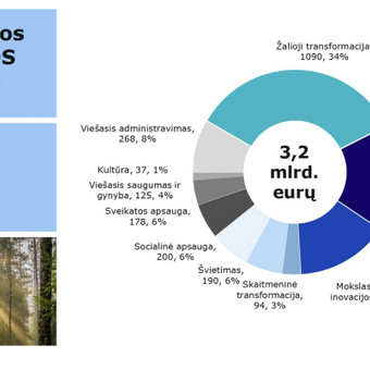Pristatymas ir analizė, kokią dotacijos Lietuvoje gali gauti Jūsų įmonė. Klaipėda Rima Barusaite nuotrauka 11 Konsultacija: nacionalinis finansavimas įmonei Klaipėda Rima Barusaite nuotrauka 11