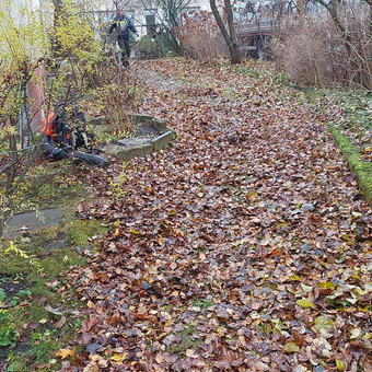 Lapu grėbimas - išvežimas Vilnius Vitalij nuotrauka 6
