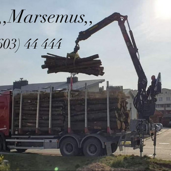 Malkos rąstais Vilnius Uab Marsemus nuotrauka 1