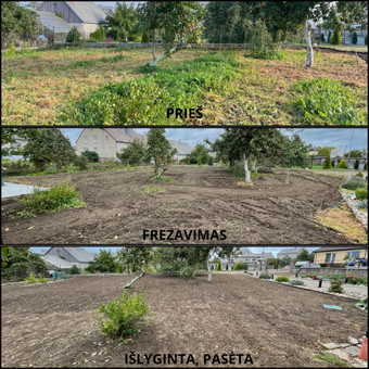 Apleistų sklypų tvarkymas Tauragės rajonas MB Hortus pro nuotrauka 3
