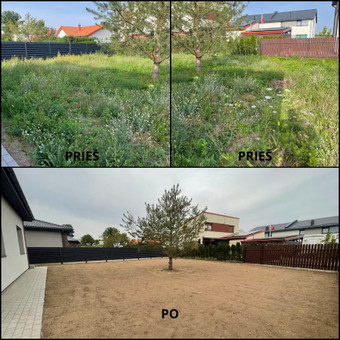 Augalų ir medelių sodinimas Tauragės rajonas MB Hortus pro nuotrauka 2