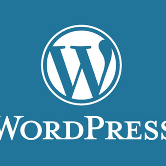 Programavimas su WordPress Klaipėda MB Heilas nuotrauka 6