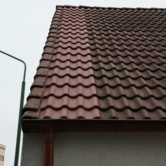Stogų valymas ir priežiūra Klaipėda Dalius Norgėla nuotrauka 1